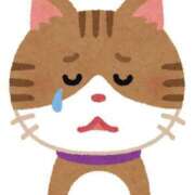 ヒメ日記 2025/08/08 17:25 投稿 しの♪ プリティーガール