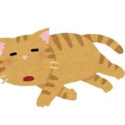 ヒメ日記 2025/09/02 14:05 投稿 しの♪ プリティーガール