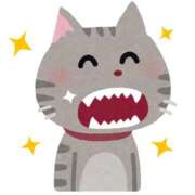 ヒメ日記 2026/01/26 20:35 投稿 しの♪ プリティーガール