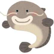 ヒメ日記 2026/01/29 14:35 投稿 しの♪ プリティーガール