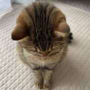 ヒメ日記 2025/05/21 21:00 投稿 ちひろ 性腺熟女100％鶯谷（デリヘル市場）