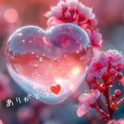 ヒメ日記 2025/06/09 20:40 投稿 ちひろ 性腺熟女100％鶯谷（デリヘル市場）