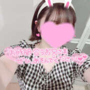 ヒメ日記 2025/06/25 14:41 投稿 のあ プロフィール加古川