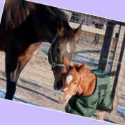 ヒメ日記 2025/01/17 18:22 投稿 あいり 鶯谷デリヘル倶楽部