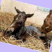 ヒメ日記 2025/01/24 11:43 投稿 あいり 鶯谷デリヘル倶楽部