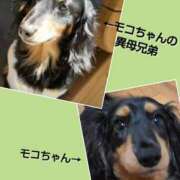 ヒメ日記 2025/01/28 11:42 投稿 あいり 鶯谷デリヘル倶楽部