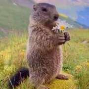 ヒメ日記 2025/02/13 11:42 投稿 あいり 鶯谷デリヘル倶楽部