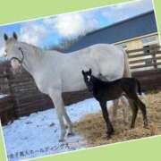 ヒメ日記 2025/02/13 16:15 投稿 あいり 鶯谷デリヘル倶楽部