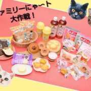 ヒメ日記 2025/02/19 15:45 投稿 あいり 鶯谷デリヘル倶楽部