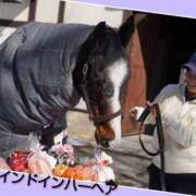 ヒメ日記 2025/02/22 17:42 投稿 あいり 鶯谷デリヘル倶楽部