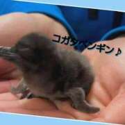 ヒメ日記 2025/02/25 13:42 投稿 あいり 鶯谷デリヘル倶楽部