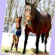 ヒメ日記 2025/03/01 11:46 投稿 あいり 鶯谷デリヘル倶楽部