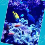 ヒメ日記 2025/03/09 11:42 投稿 あいり 鶯谷デリヘル倶楽部