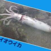 ヒメ日記 2025/03/13 13:42 投稿 あいり 鶯谷デリヘル倶楽部