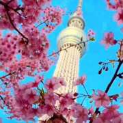 ヒメ日記 2025/03/15 15:44 投稿 あいり 鶯谷デリヘル倶楽部