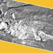 ヒメ日記 2025/03/18 13:42 投稿 あいり 鶯谷デリヘル倶楽部