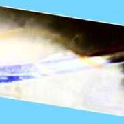 ヒメ日記 2025/03/18 15:45 投稿 あいり 鶯谷デリヘル倶楽部