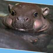 ヒメ日記 2025/03/19 15:42 投稿 あいり 鶯谷デリヘル倶楽部