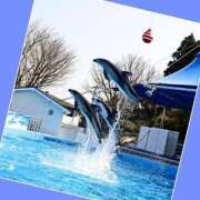 ヒメ日記 2025/03/23 11:42 投稿 あいり 鶯谷デリヘル倶楽部