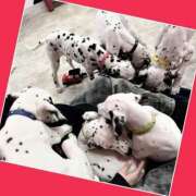 ヒメ日記 2025/03/23 15:42 投稿 あいり 鶯谷デリヘル倶楽部