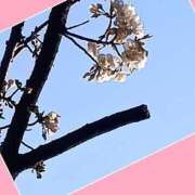 ヒメ日記 2025/03/24 17:42 投稿 あいり 鶯谷デリヘル倶楽部