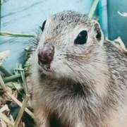 ヒメ日記 2025/03/27 20:39 投稿 あいり 鶯谷デリヘル倶楽部