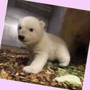 ヒメ日記 2025/04/02 15:42 投稿 あいり 鶯谷デリヘル倶楽部