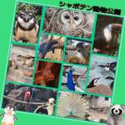 ヒメ日記 2025/04/07 13:32 投稿 あいり 鶯谷デリヘル倶楽部