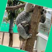 ヒメ日記 2025/04/08 15:42 投稿 あいり 鶯谷デリヘル倶楽部