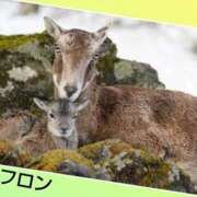 ヒメ日記 2025/04/16 11:42 投稿 あいり 鶯谷デリヘル倶楽部