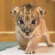 ヒメ日記 2025/04/21 11:42 投稿 あいり 鶯谷デリヘル倶楽部