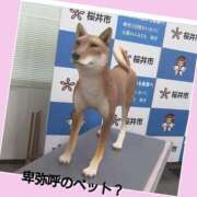 ヒメ日記 2025/04/23 11:42 投稿 あいり 鶯谷デリヘル倶楽部