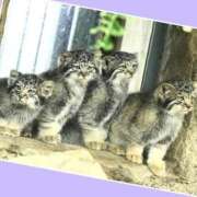 ヒメ日記 2025/04/23 15:42 投稿 あいり 鶯谷デリヘル倶楽部