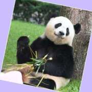 ヒメ日記 2025/04/25 13:42 投稿 あいり 鶯谷デリヘル倶楽部