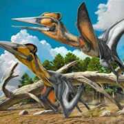 ヒメ日記 2025/05/14 13:42 投稿 あいり 鶯谷デリヘル倶楽部