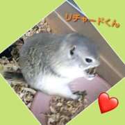 ヒメ日記 2025/06/14 13:42 投稿 あいり 鶯谷デリヘル倶楽部