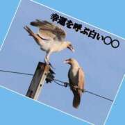 ヒメ日記 2025/06/19 13:42 投稿 あいり 鶯谷デリヘル倶楽部