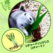 ヒメ日記 2025/06/19 20:32 投稿 あいり 鶯谷デリヘル倶楽部