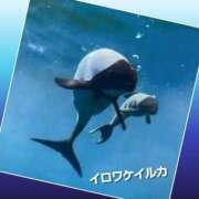 ヒメ日記 2025/06/24 13:42 投稿 あいり 鶯谷デリヘル倶楽部