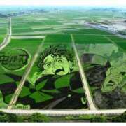 ヒメ日記 2025/07/10 17:42 投稿 あいり 鶯谷デリヘル倶楽部