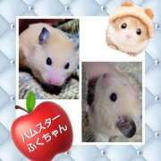 ヒメ日記 2025/07/11 15:42 投稿 あいり 鶯谷デリヘル倶楽部