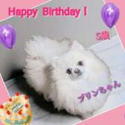 ヒメ日記 2025/07/12 11:42 投稿 あいり 鶯谷デリヘル倶楽部