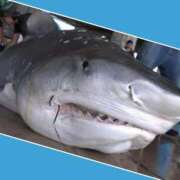 ヒメ日記 2025/07/16 13:45 投稿 あいり 鶯谷デリヘル倶楽部