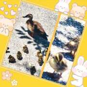 ヒメ日記 2025/07/27 13:42 投稿 あいり 鶯谷デリヘル倶楽部