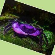 ヒメ日記 2025/08/07 15:42 投稿 あいり 鶯谷デリヘル倶楽部