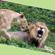 ヒメ日記 2025/08/07 17:44 投稿 あいり 鶯谷デリヘル倶楽部