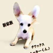 ヒメ日記 2025/08/09 11:42 投稿 あいり 鶯谷デリヘル倶楽部