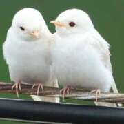 ヒメ日記 2025/08/09 15:44 投稿 あいり 鶯谷デリヘル倶楽部