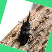 ヒメ日記 2025/08/13 11:42 投稿 あいり 鶯谷デリヘル倶楽部