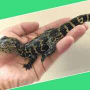 ヒメ日記 2025/08/19 11:42 投稿 あいり 鶯谷デリヘル倶楽部